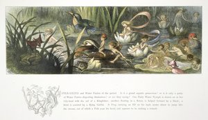 Åkander og vandfeer af Richard Doyle
