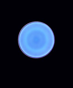 Circle X, 2005 (digitalt c-type fotogram)