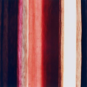 Stripe XI, 2005 af Richard Green