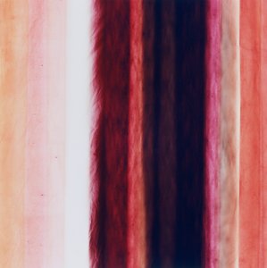 Stripe X, 2005 af Richard Green