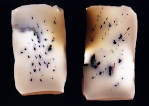 Uden titel (dobbeltundersøgelse), 2001 af Richard Green