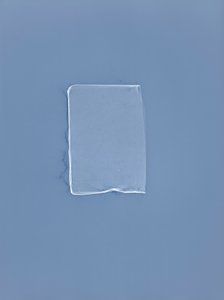 Uden titel, 2001 af Richard Green