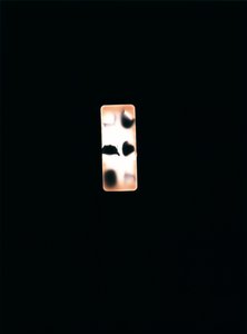 Uden titel, 2004 (unikt c-type fotogram)