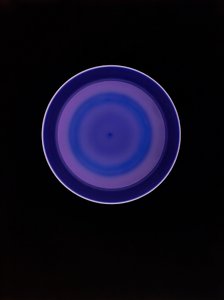 Uden titel, 2004 af Richard Green