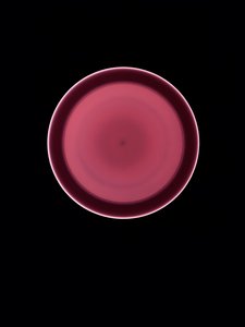 Uden titel, 2004 af Richard Green