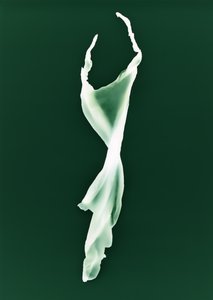 Uden titel, 2004 af Richard Green