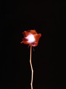 Uden titel, 2007 af Richard Green
