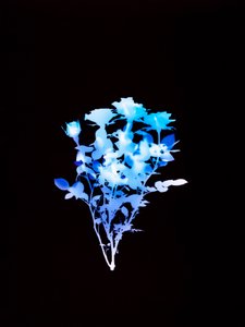 Uden titel, 2008 af Richard Green