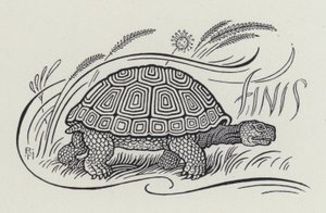 Hare And The Tortoise (gravering) af Richard Heighway