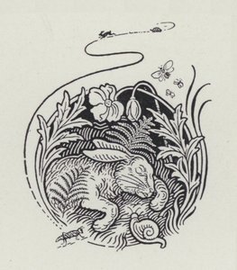 Haren og skildpadden (gravering) af Richard Heighway