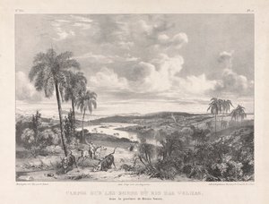 Campos Sur Les Bords du Rio Das Velhas af Richard Parkes Bonington