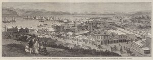 En del af byen og havnen i Dunedin, hovedstaden i Otago, New Zealand