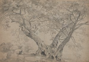 Arbra Sacra ved bredden af Lake Nemi af Richard Wilson