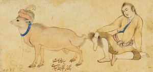 Studie af en ung mand og en vædder, 1630-31 eller senere