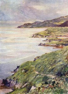A Lonely Shore, Barmouth Estuary (farve litho) af Robert (after) Fowler