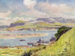 Carnarvon, fra Anglesey (farve litho) af Robert (after) Fowler
