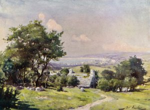 Fjernsyn over Carnarvon Bay (farve litho) af Robert (after) Fowler