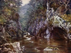 Fairy Glen, Bettws-y-Coed (farve litho) af Robert (after) Fowler