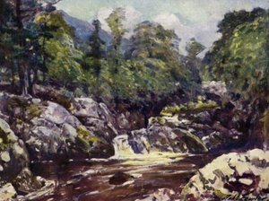 I Lledr-dalen (farve litho) af Robert (after) Fowler