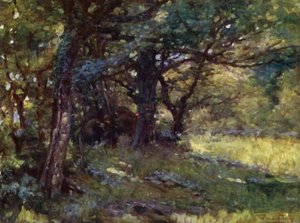 In the Woods, Berwyn (farve litho)