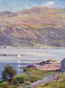 Sunny Afternoon, Cardigan Bay (farve litho)
