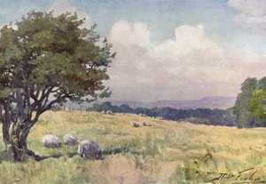 Sunny Field, nær Llanberis (farve litho) af Robert (after) Fowler