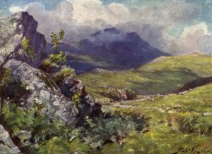 Udsigt over Moelwyn (farve litho) af Robert (after) Fowler
