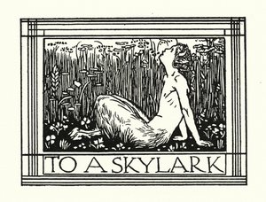Shelley: To A Skylark (litografi) af Robert Anning Bell