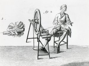 Rustik økonomi, bomuld, fra Encyclopedia af Denis Diderot 1713-84 gravering bw fotodetalje af 164438 af Robert Benard
