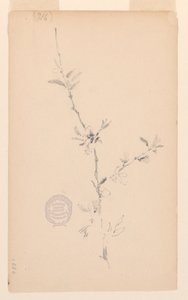 Bough af Robert Frederick Blum