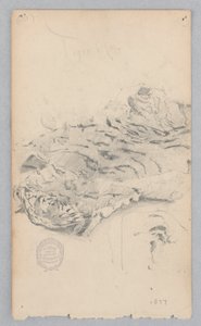 Tiger skin tæppe af Robert Frederick Blum
