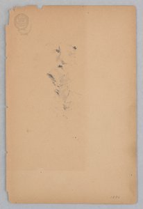 Kvinde af Robert Frederick Blum