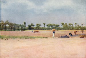 Esbet-El-Ekiad - Land of Goshen, c1880, 1904