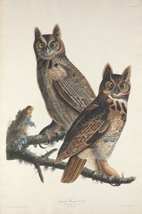 Store Hornugle, 1829.