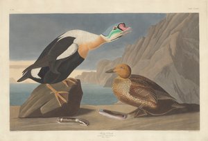 Kong And, 1835.