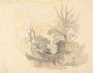 A Lane, Great Borside