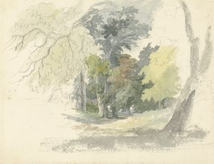 En Woodland Glade af Robert Hills