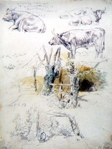 Kvægstudier af Robert Hills