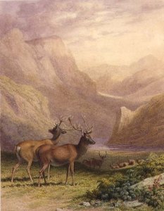 Hjorte i højlandet af Robert Hills