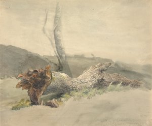Det faldne træ af Robert Hills