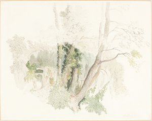 Træer ved Beddington af Robert Hills