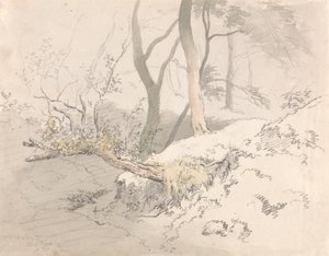 Woodland Shadow af Robert Hills