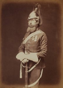 Sergent-major Bailey, 1st Royal Dragon Guards