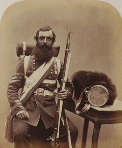 Sergent Knapp, Coldstream Guards af Robert Howlett