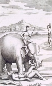 En henrettelse af en elefant, pub. 1681. af Robert Knox
