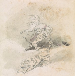 En tiger, der angriber en hest