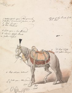 Skitse af en omhyggeligt opsadlet hest