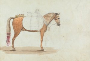 Ufærdig skitse af en omhyggeligt opsadlet hest