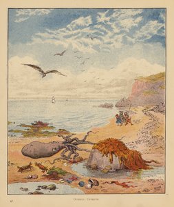 The Kitten Pilgrims: Octopus Untruth (farve litho) af Robert Michael Ballantyne