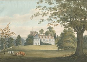 Arley Halldani af Robert Noyes